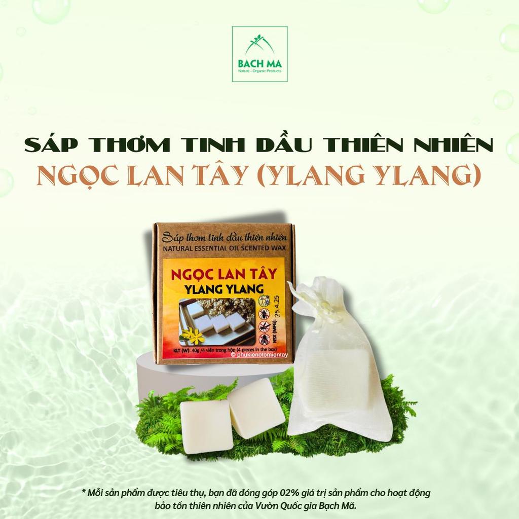 Sáp Thơm Tinh Dầu Thiên Nhiên Treo Xe Ô tô, Phòng Làm Việc, Khử Mùi 5